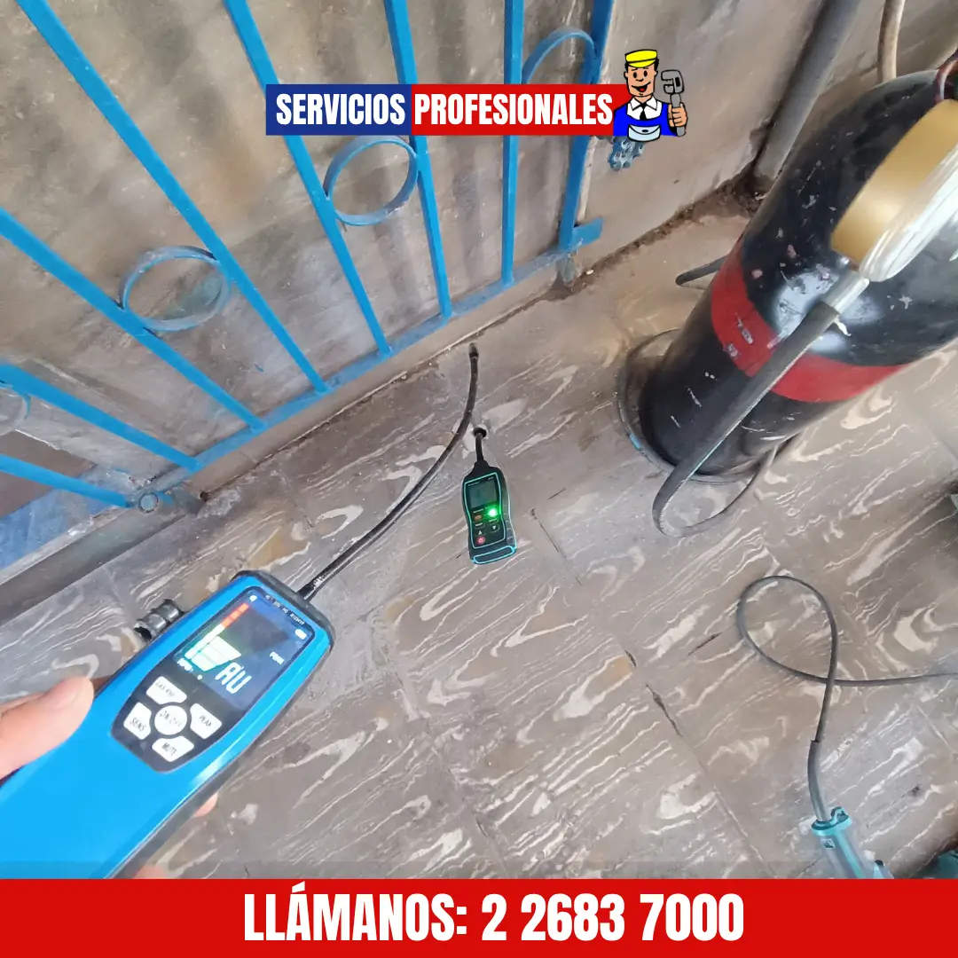Reparación y revisión de calefont en Santiago